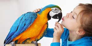 Veterinarian in Moncks Corner, SC - Services